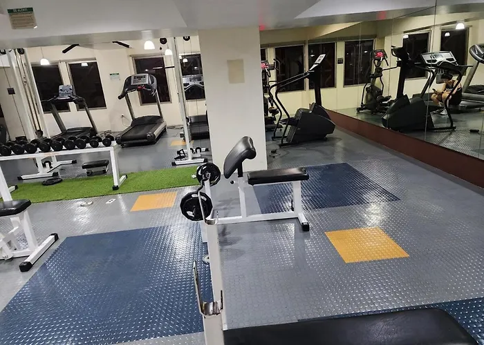 Apartment Greenbelt Parkplace Tower, Makati, Luxury 1br *