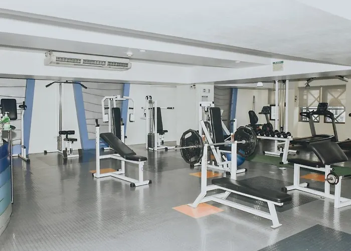 Apartment Greenbelt Parkplace Tower, Makati, Luxury 1br